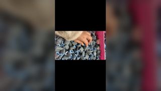 HP 픽업 롤러 1010